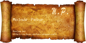 Molnár Petur névjegykártya